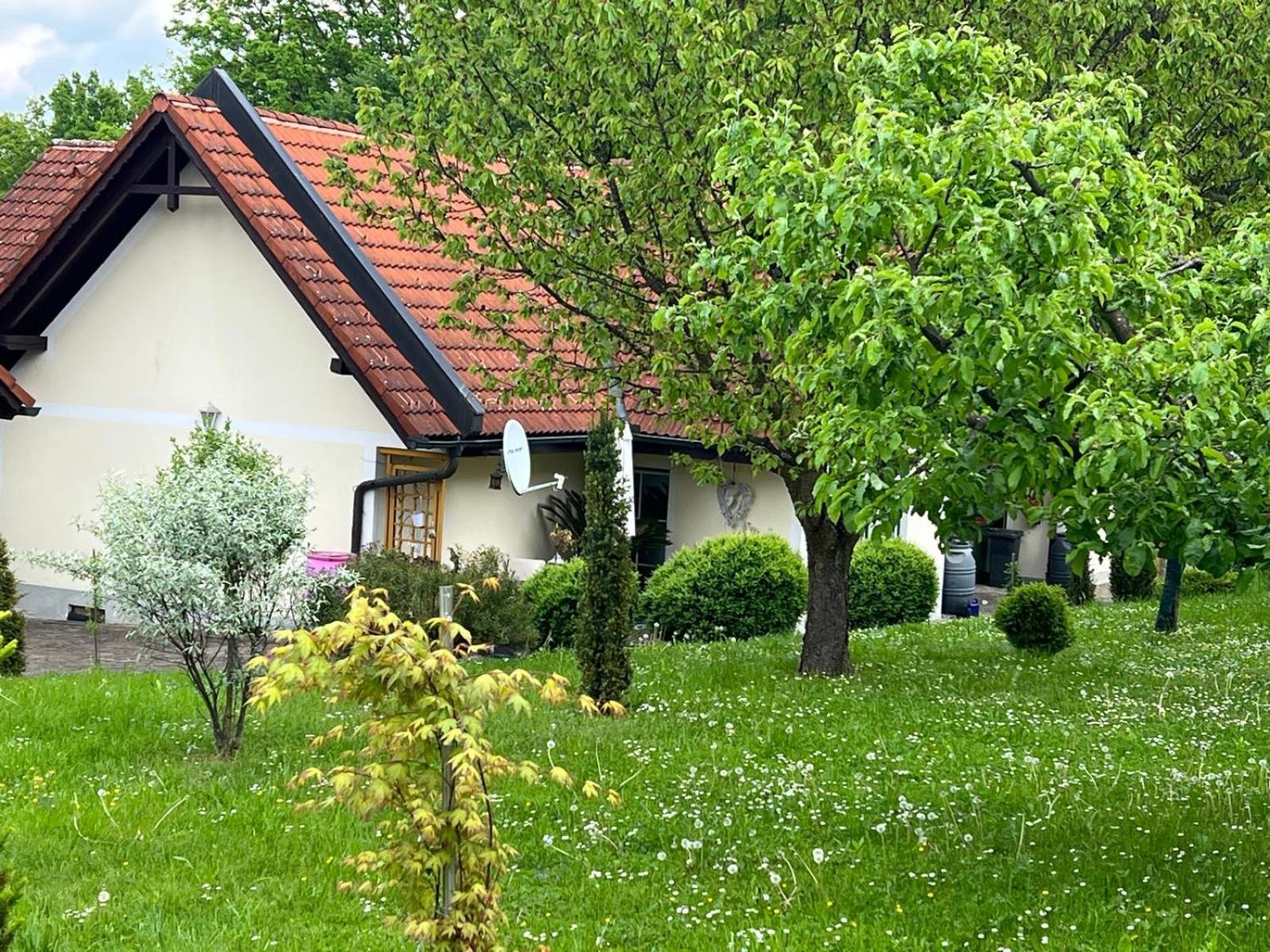 Ferienwohnung Dorner Шпільфельд Екстер'єр фото